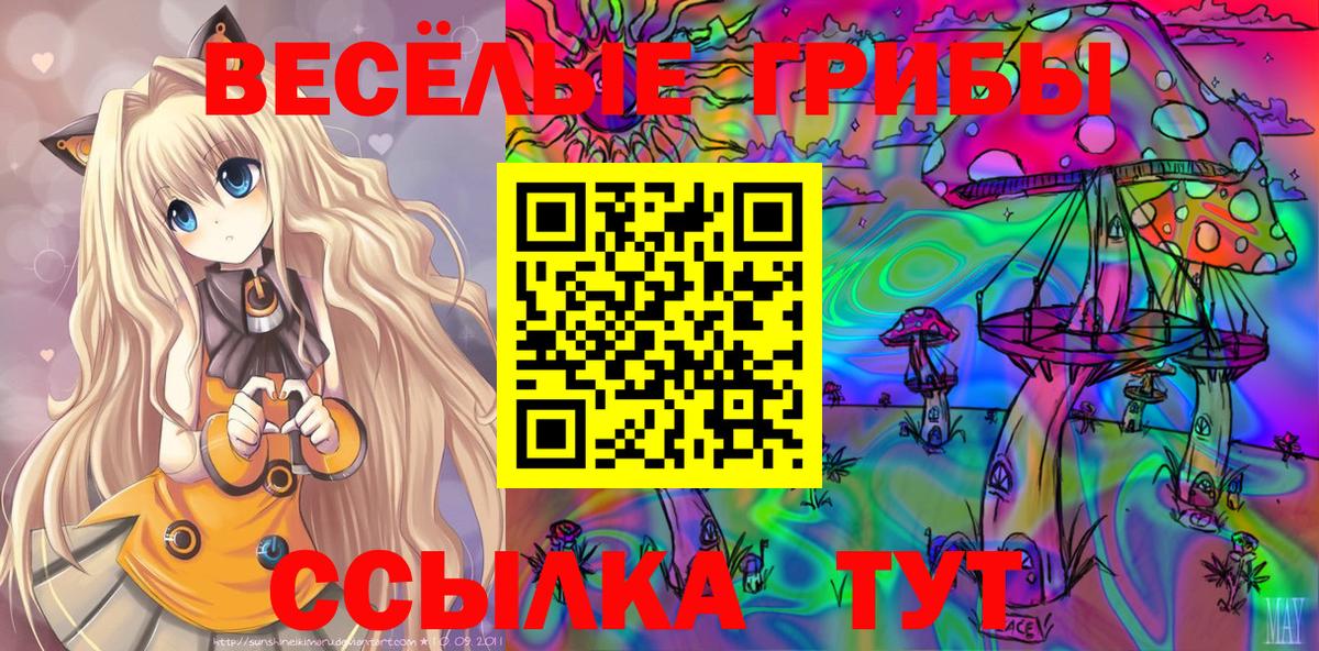 Галлюциногенные грибы мухоморы Сальск