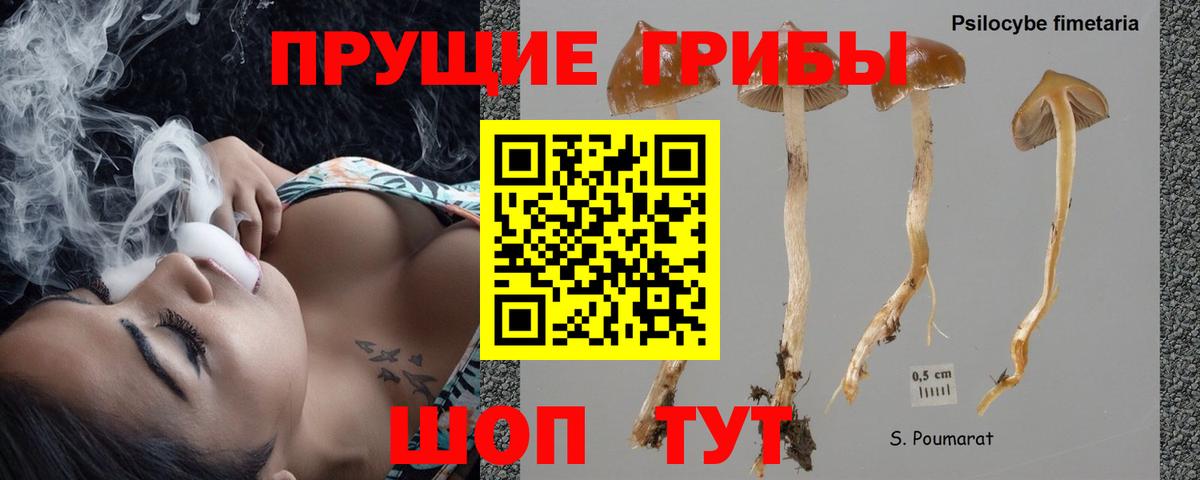 Сальск  Псилоцибиновые грибы Magic Shrooms  Вход с VPN  Галлюциногенные грибы ЛСД 