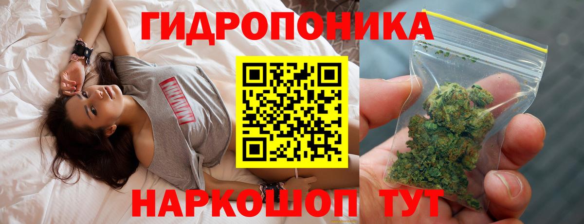Каннабис SATIVA & INDICA  Бошки марихуана ГИДРОПОН  Вход с VPN  Бошки Шишки семена  Сальск 